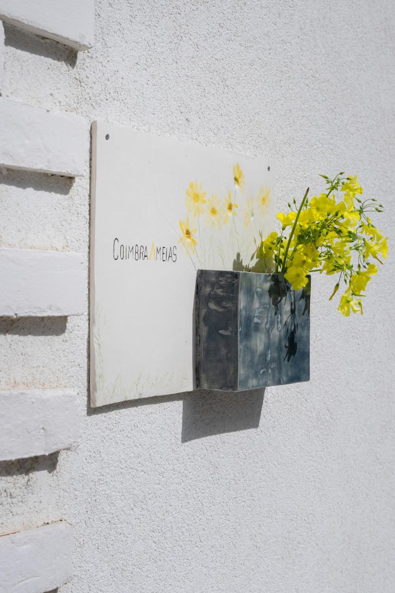 Coimbraameias Exteriör bild