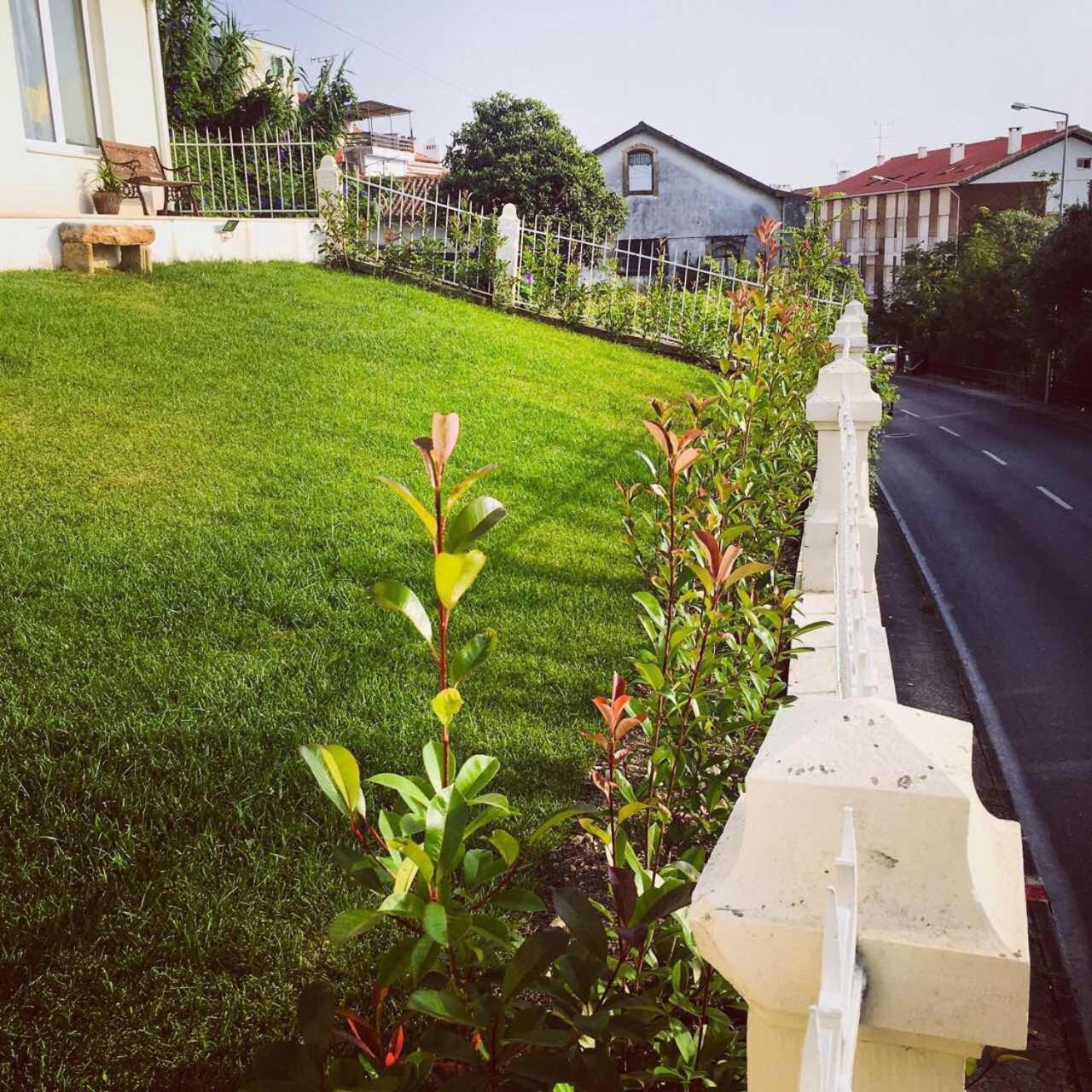 Coimbraameias Exteriör bild